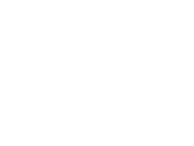 lazada white logo